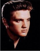 elvis
